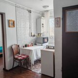 Doamna Ghica, Ziduri Intre Vii